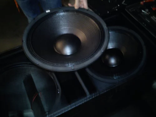 08 Woofer Repair